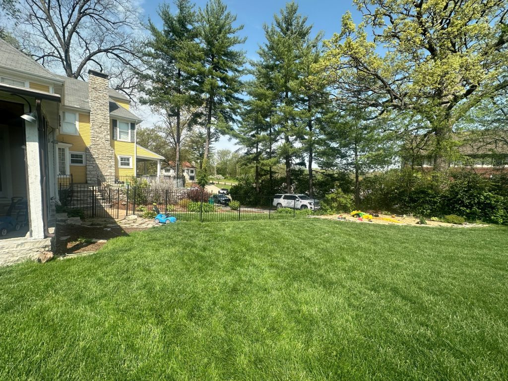 Back yard of the original property looking away from the house
