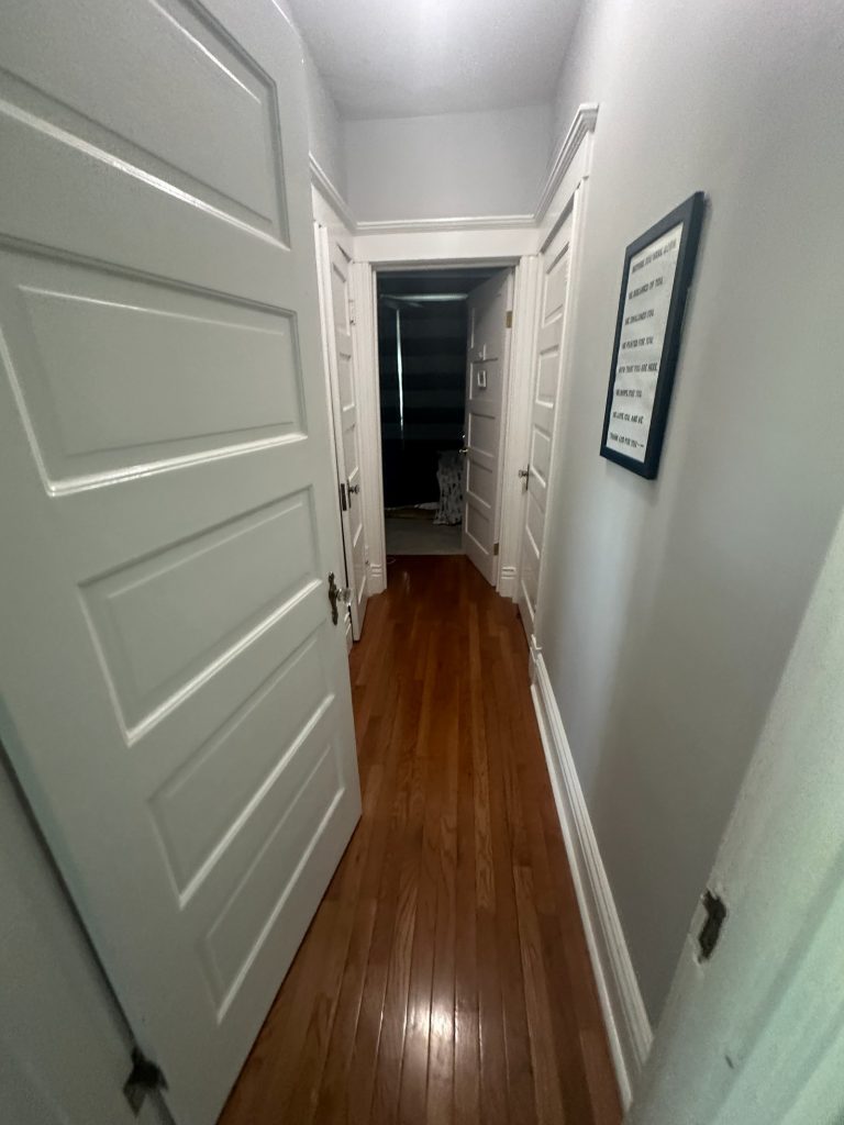 Original hallway with a paneled door and dark hardwood