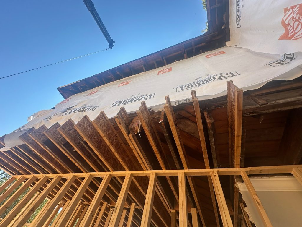 Roof framing seen from below against the housewrap