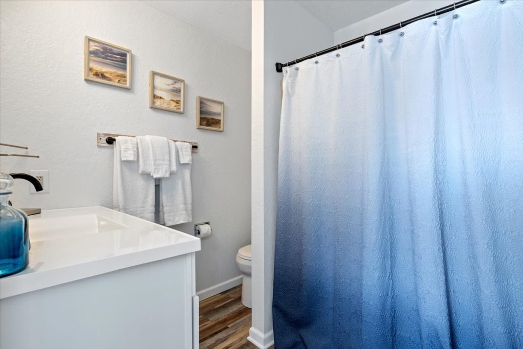 Bathroom with white vanity and ombre shower curtain