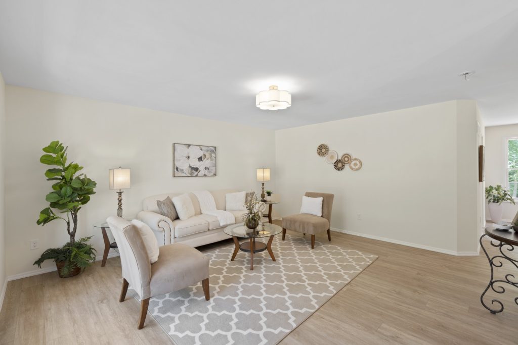 Living room with sofas and patterned rug